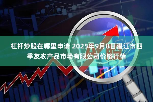 杠杆炒股在哪里申请 2025年9月8日潜江市四季友农产品市场有限公司价格行情