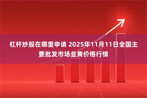 杠杆炒股在哪里申请 2025年11月11日全国主要批发市场韭黄价格行情